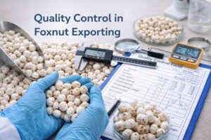 global foxnut exporting trade